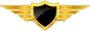 Bonus text description 